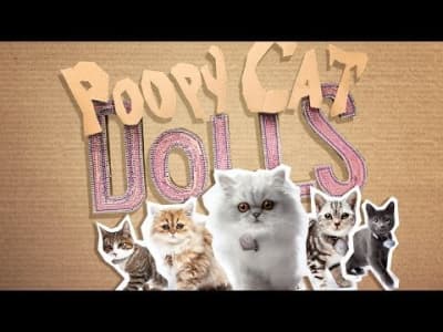 [CHAT]Poopy Cat Dolls