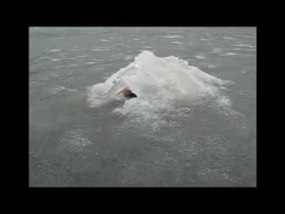 Le monstre du Loch Ness sur un lac Russe