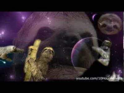 Sloths in space