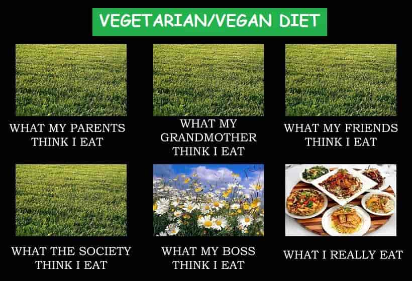 Vegan / Vegetarian diet
