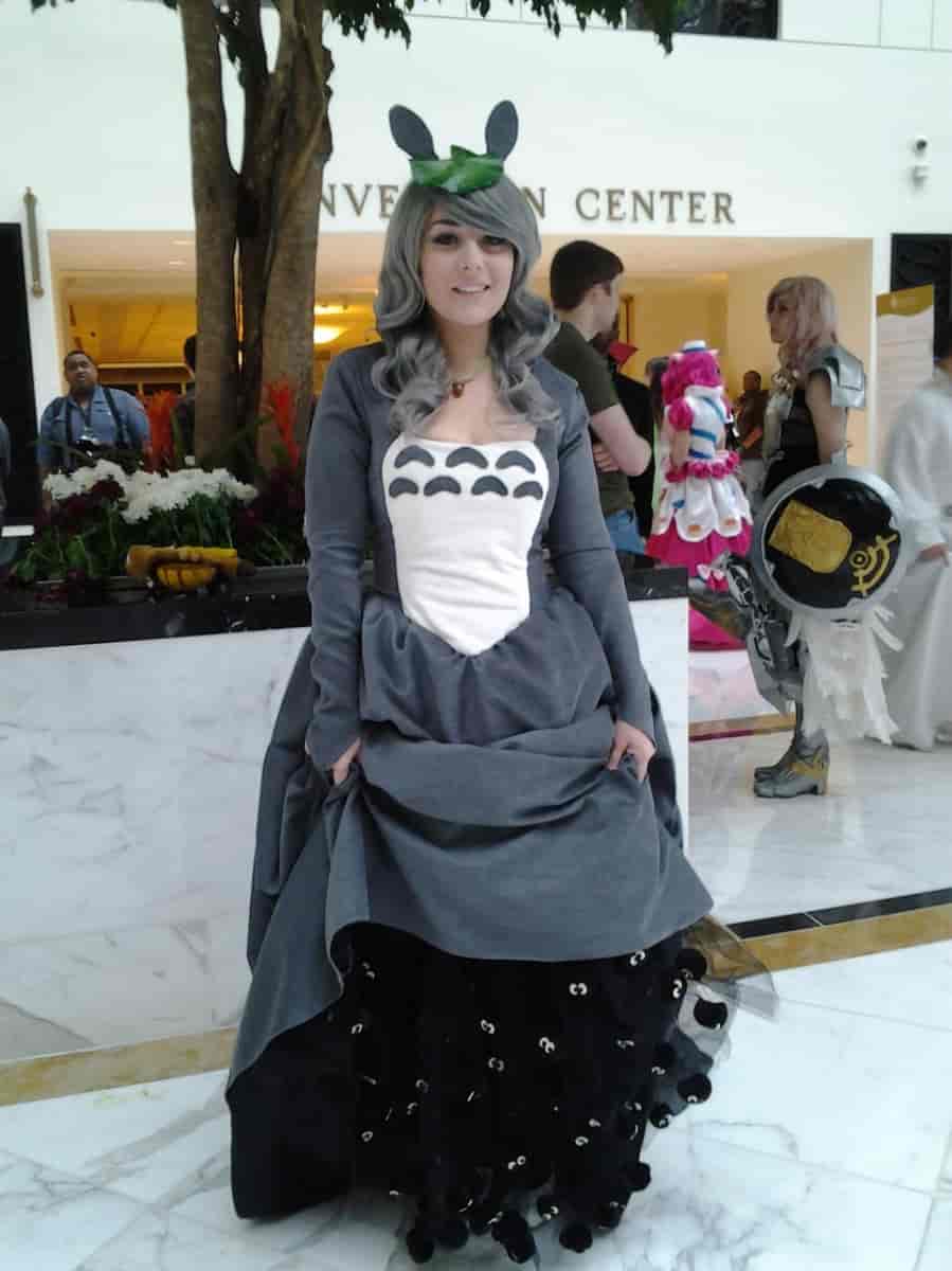 La robe Totoro