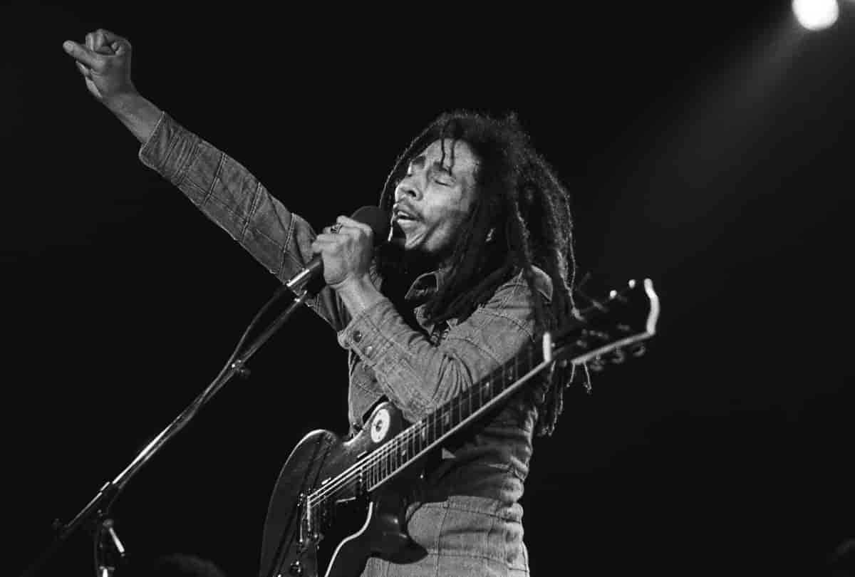 Les cheveux de Bob Marley