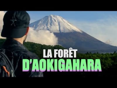 Le GrandJD-LA FORET D'AOKIGAHARA (SUICIDE FOREST)