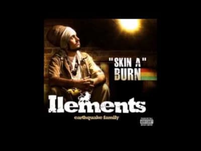 [Reggae] Ilements - Skin A Burn