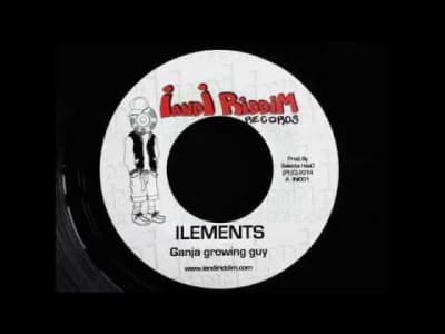 [Reggae] Ilements - Ganja Growing Guy