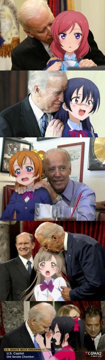 Joe Biden Seeking Perfect Waifu