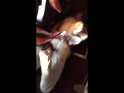 Fussillade du Thalys - Vidéo du suspect maîtrisé