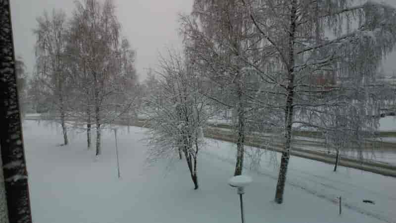 Je suis étudiant Erasmus en Finlande et il neige