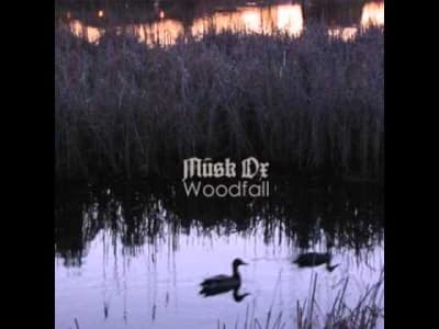 [Atmospheric Black Metal] Musk Ox - Woodfall