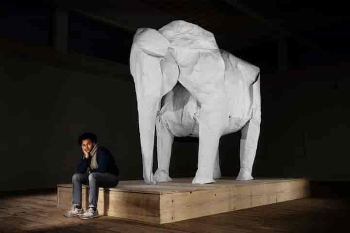 Elephant taille réelle