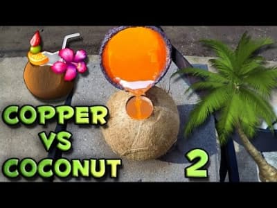 Coconut 3310