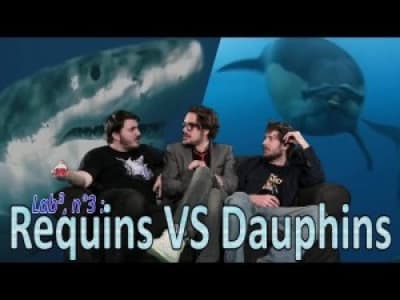 Lab³ - N°3 : Les Requins VS Les Dauphins 