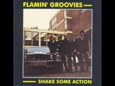 The Flamin Groovies - Shake Some Action