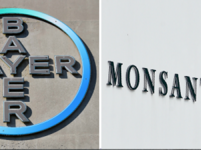 Bayer s’offre Monsanto