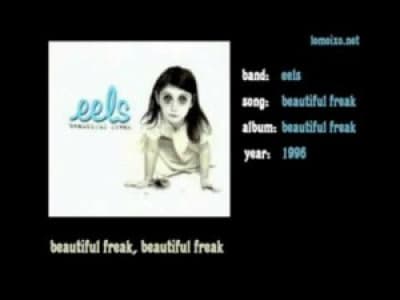 Beatiful Freak - Eels