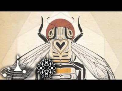 Invisible Allies - Bees Longing