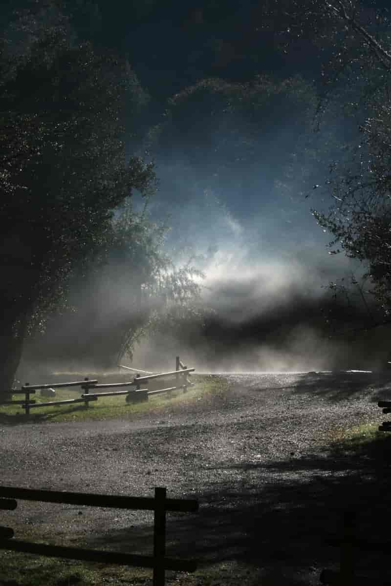 The mist