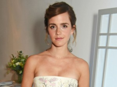 http://www.elleuk.com/fashion/news/a34020/emma-watson-this-isnt-a-time-to-remain-silent-elle-style-awards/