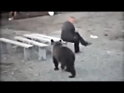 Des ours et des russes