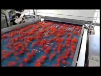 Machine à trier les tomates par couleur
