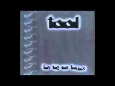 tool - disposition, reflection, triad