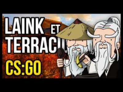 Laink et Terracid (CS:GO)