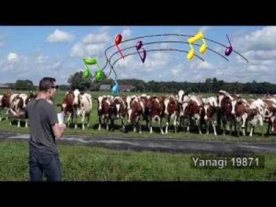 How to summon cows