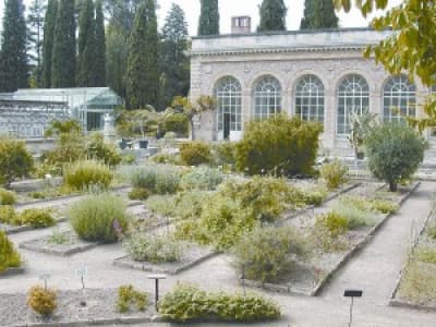 Le jardin des plantes de Montpellier 