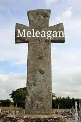 RIP in peace Meleagan