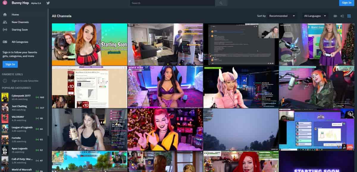 Twitch : Bunny Hop, le site qui récupérait les flux vidéos des streameuses
