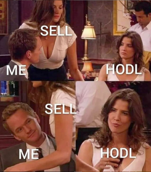 Hodl or Sell ?