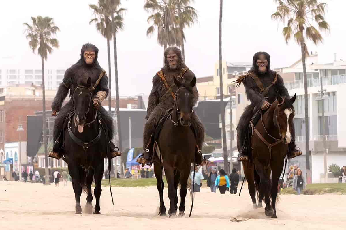 3 singes ont été aperçus à dos de cheval à Los Angeles, San Francisco ou encore à New York. Un coup marketing surprenant pour la promo du dernier film “La Planète des Singes : Le Nouveau Royaume”