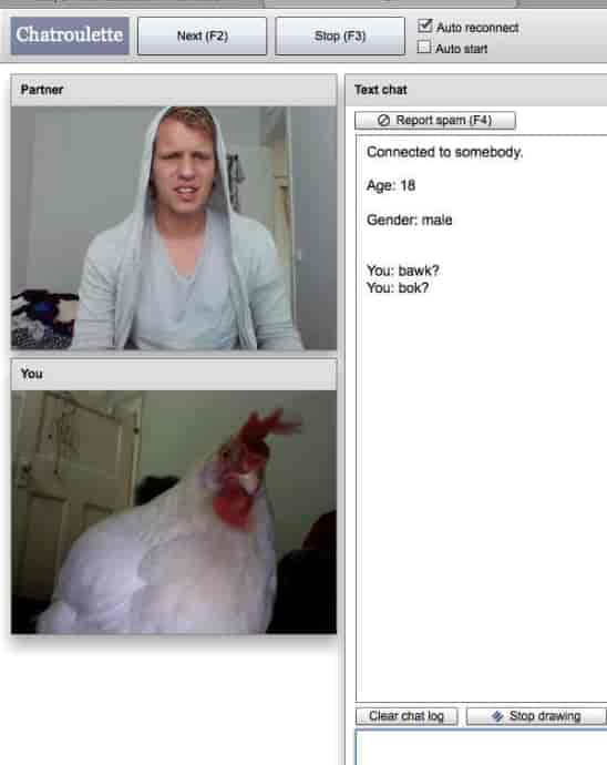 Cocks on Chatroulette &#8230;