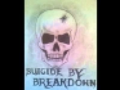 [Rock] Suicide By Breakdown - In The River (BLS cover)