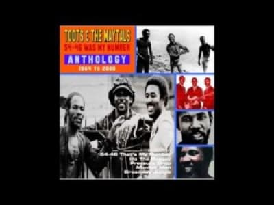 Toots &amp; the Maytals - Louie Louie