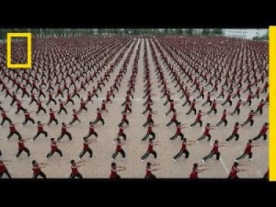 Entrainement de la jeunesse chinoise aux arts martiaux 