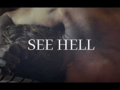Agent Fresco - See Hell