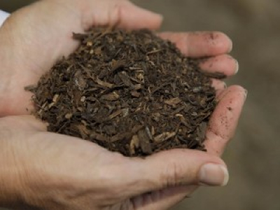 https://www.nbcnews.com/news/us-news/washington-could-become-first-state-legalize-human-composting-n952421?cid=sm_npd_nn_tw_ma