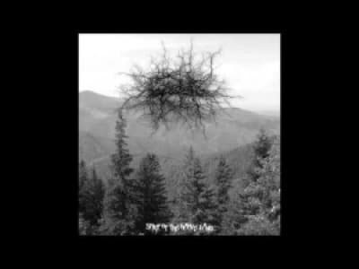 Black Metal #7 - Basarabian Hills (A Day In The Forest)
