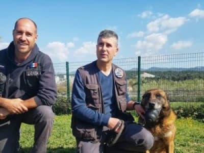 Marseille:Des policiers lancent une cagnotte pour ouvrir une maison de retraite pour chien