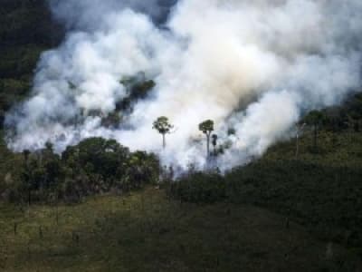 Incendie dans la forêt amazonienne depuis deux semaines.
