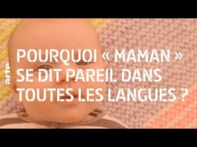 Pourquoi « maman » se dit pareil dans toutes les langues ? - 28 minutes - ARTE