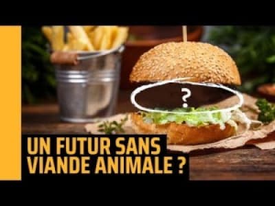 Un monde sans viande est-il possible ? 