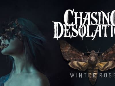 Chasing Desolation - Winter Rose