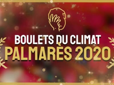 Aujourd'hui, devant l'Assemblée nationale, des militants et activistes Greenpeace ont organisé la cérémonie du prix des Boulets du Climat.