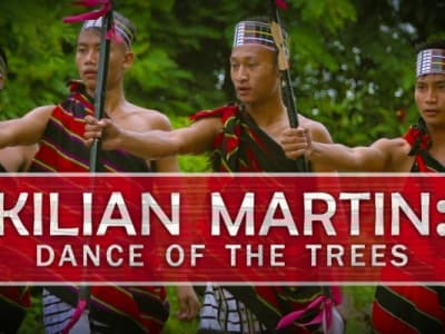 Kilian Martin : Dance of The Trees
