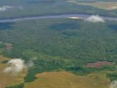 Le plus grand parc de RDC retiré de la liste du patrimoine mondial en péril