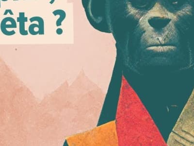 Discussion entre Victoire Tuaillon et le primatologue Frans de Waal