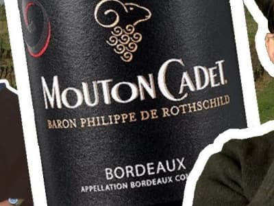 Vin'Berbe #3 : MOUTON CADET l'Heure de la Rédemption ? 🍷🐑                                              (Par Vin Stache, youtubeur viticole)