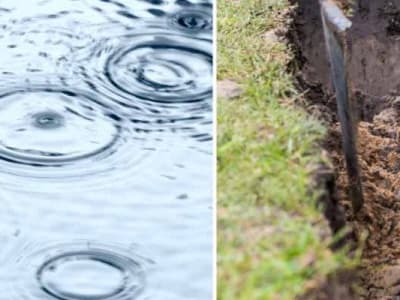 La « plantation d’eau de pluie », une technique ancestrale pour économiser l’eau en période de sécheresse